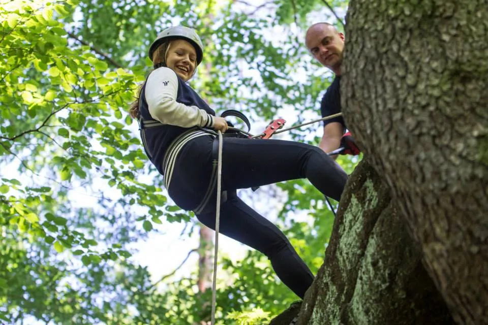 Wspinaczka po drzewie