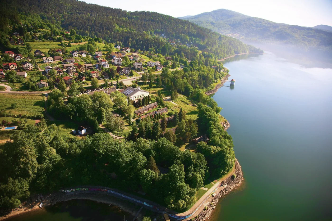 Wspinaczka po drzewie